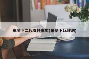 车萝卜二代支持车型(车萝卜1s评测)